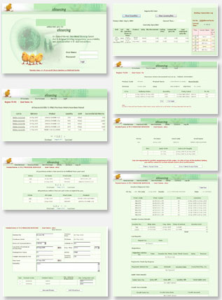 Web Enabling ERP