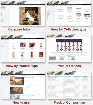 Web Enabling ERP