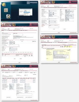 Web Enabling ERP