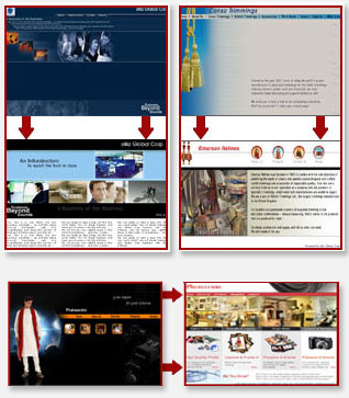 Web Enabling ERP